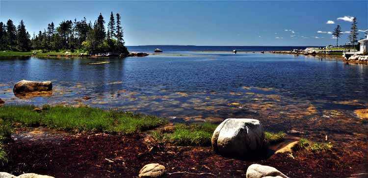 water scene